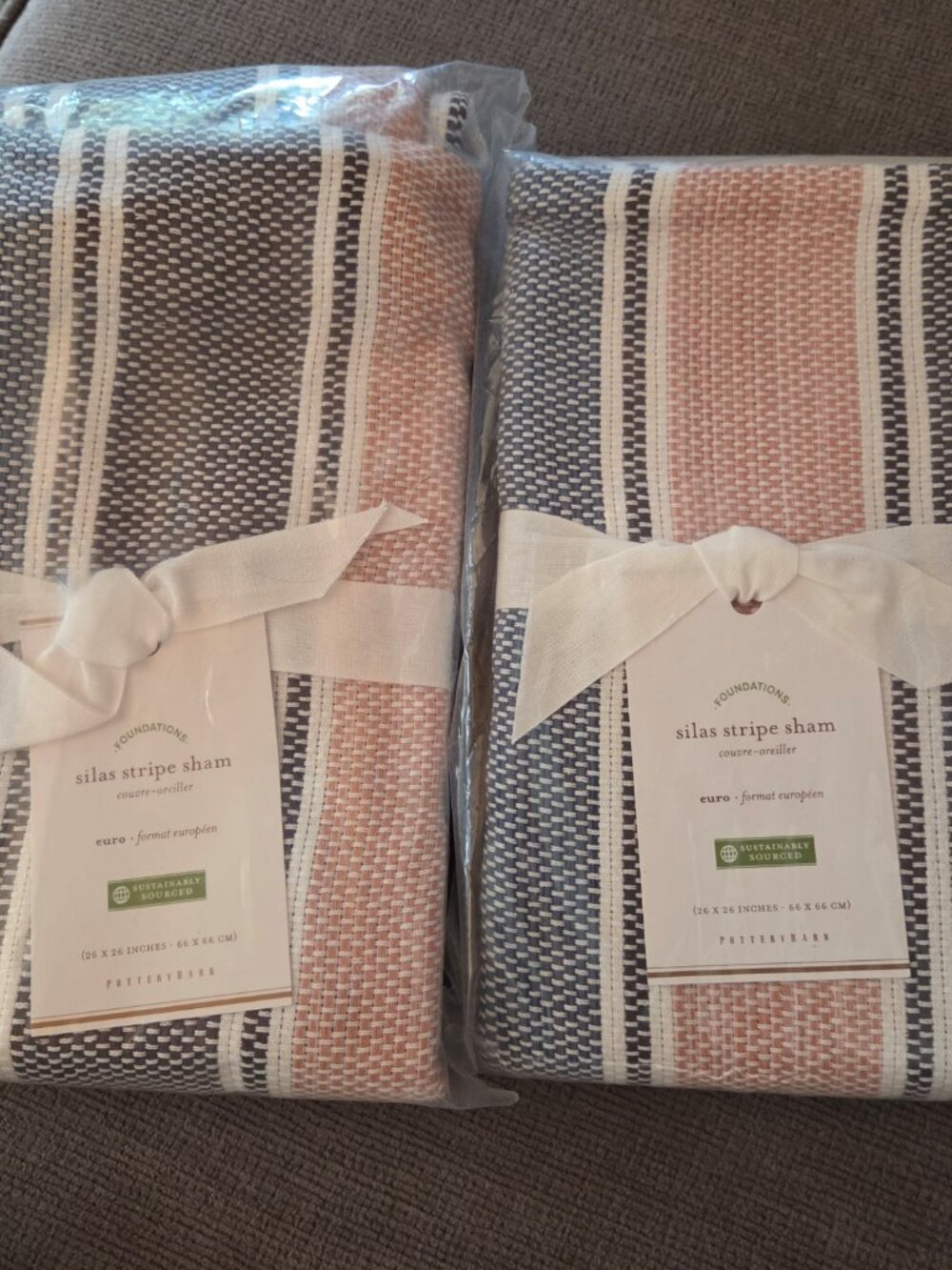 Pair of Pottery Barn Silas Stripe Euro Sham - Discontinued, NWT!